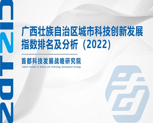 大屌插穴逼视频【成果发布】广西壮族自治区城市科技创新发展指数排名及分析（2022）